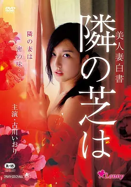 花样年华 经典重温海报